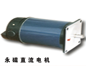 case- Permanent magnet DC motor